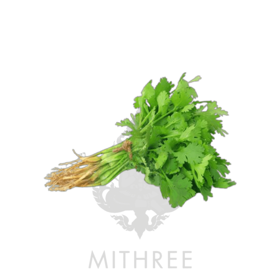 CORIANDER [FRESH] 6 X BUNCHES MITHREE