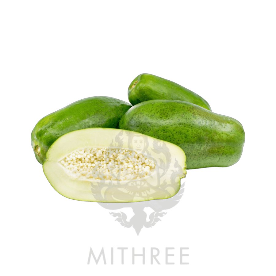 GREEN PAPAYA /10 MITHREE