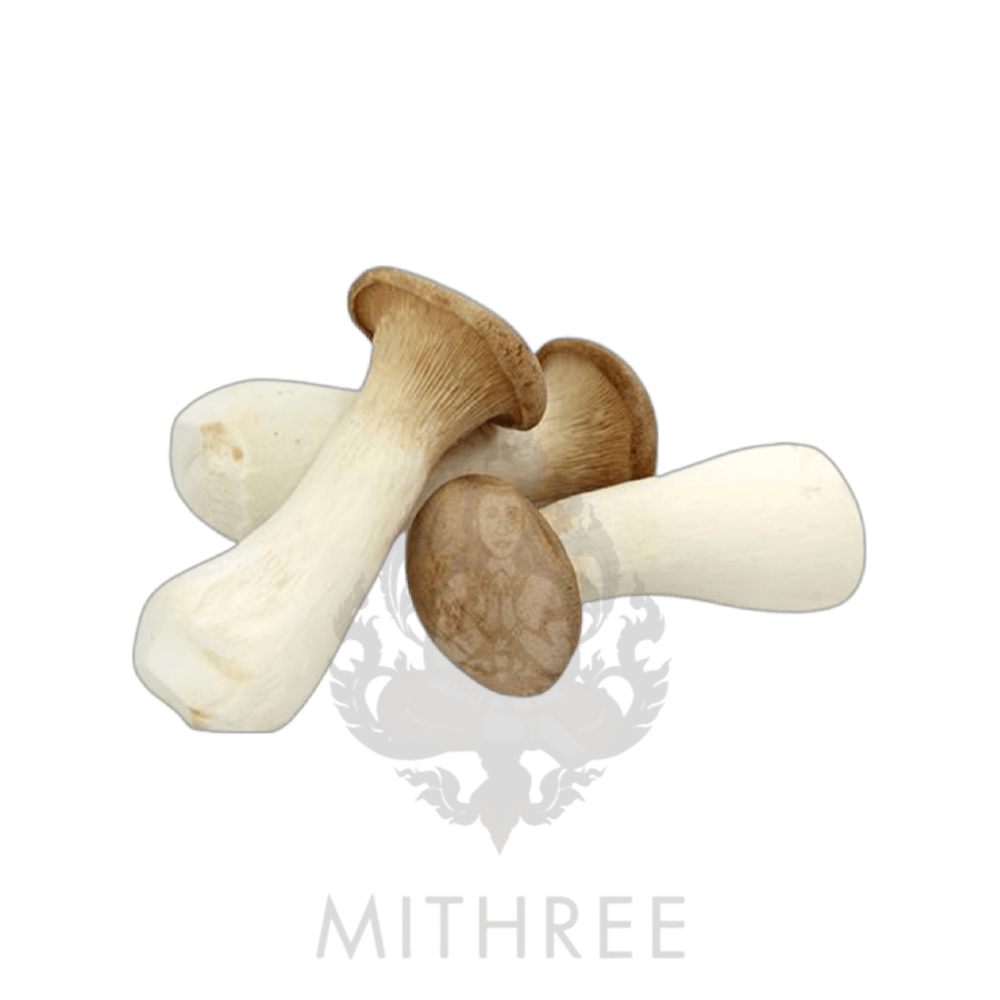 KING OYSTER MUSHROOM [FRESH] 1 X PACKET MITHREE